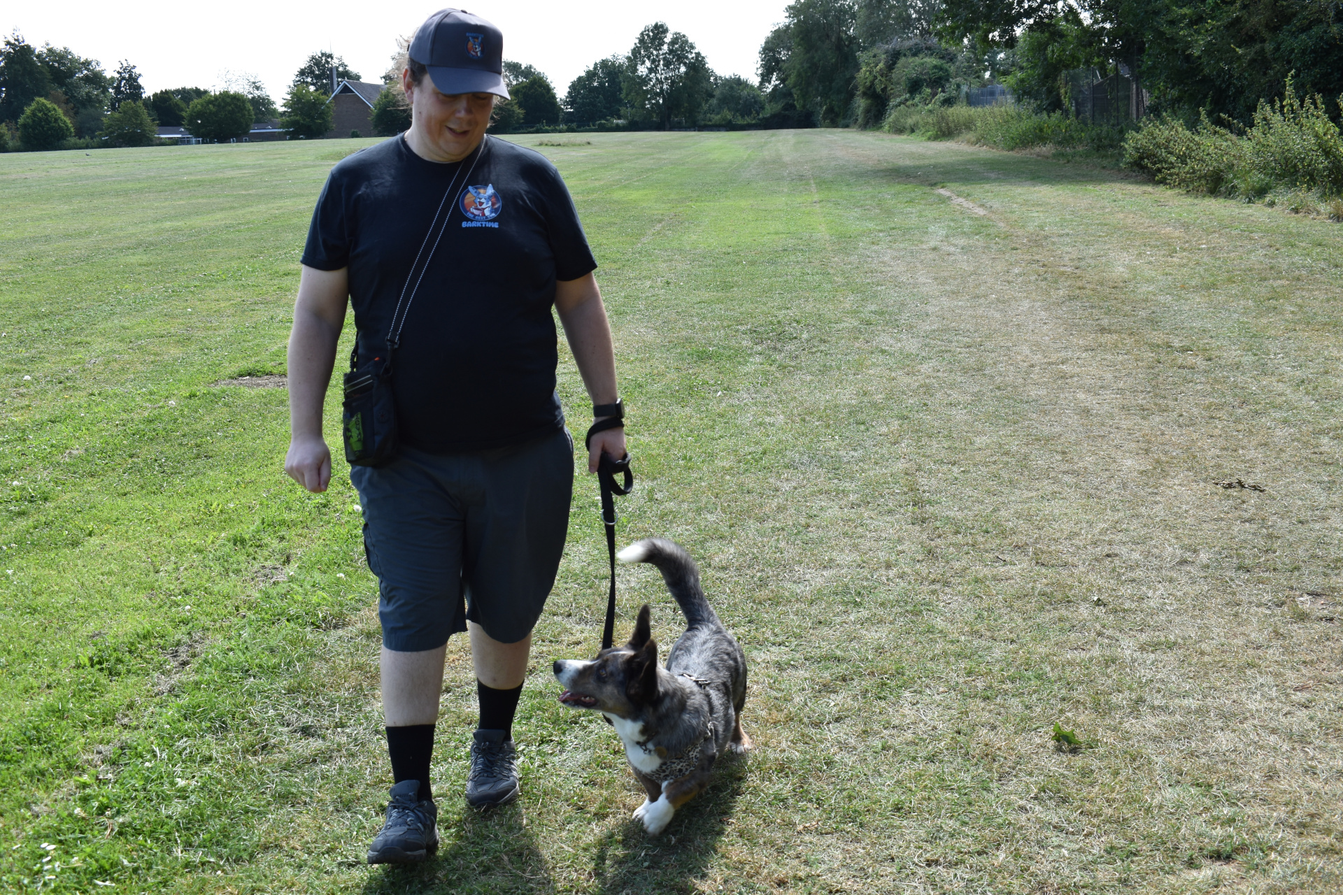 Walker walking the corgi 2.JPG