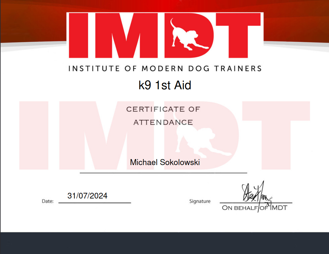 k9 First Aid Training for Michael Sokolowski